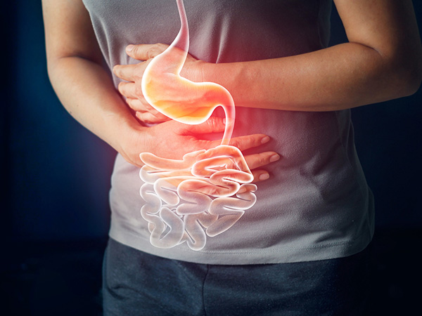 GASTROLOGY